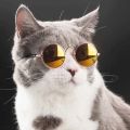 Vintage Round Cat Sunglasses Reflection Eyewear Glasses for Small Dog Cat Pet Photos Props. 