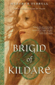 Brigid Of Kildare By heather terrell. 
