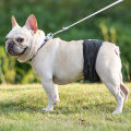 HamshMoc Washable Male Dog Diaper Reusable Dog Belly Band Highly Absorbent Adjustable Leakproof Breathable Underwear Dog Wraps for Incontinence. 