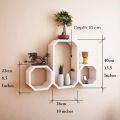 Octagon Shelves set of 3 Floating shelve wall décor - Shelf for Living Room, Drawing Room and Kitchen. 