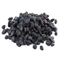 Black Kishmish - Black Raisin  500 Grams / AL-GHANAWI. 