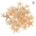 Sea shells size:0.5-3cm 100pcs Mini Starfish Craft Decoration Natural Sea Stars. 