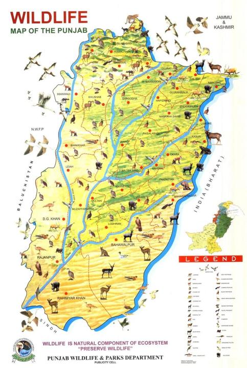 Wild%20Life%20Of%20Punjab%20Map%20Panaflex%20Poster%20Educational%20Chart%20School%20Office%20Decoration%20-%20Image%202