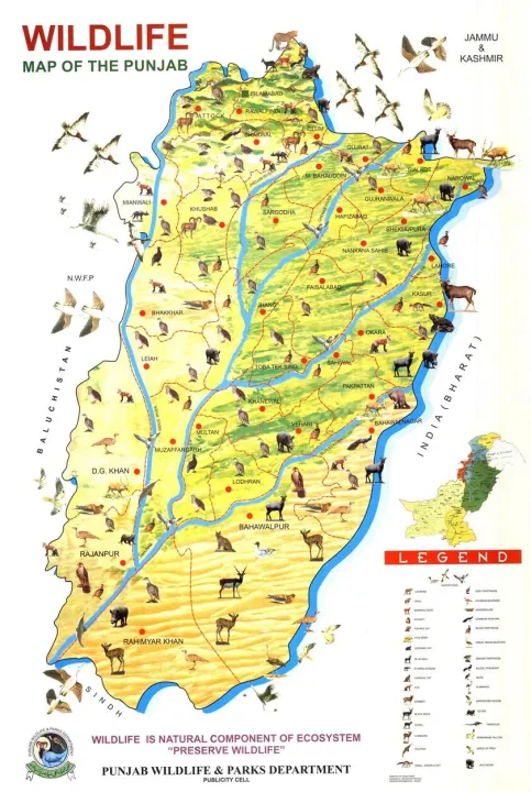 Wild%20Life%20Of%20Punjab%20Map%20Panaflex%20Poster%20Educational%20Chart%20School%20Office%20Decoration%20-%20Image%202