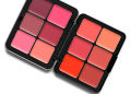 12 color Ultra HD Invisible Cover Cream Blush Palette. 