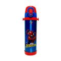 Disney Boys Cartoon Characters Stainless Steel Water Bottle - Double Wall Insulated, Vacuum Bottle With Straw for School Kids- 500ml Capacity. 