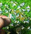 Pakistan Badges ( 10,20,30,50,100 Pcs) Pakistan Flag Metal Badge 14 August Badge Premium Quality Badges Azadi, Badges Pakistan Badge In Very Cheap Price. 