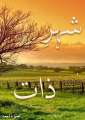 Sheher-e-Zaat by Umera Ahmed. 