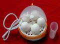 Premium Electric Egg Cooker - Rapid Boil Egg Boiler. 