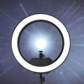 Ringlight 10" / 26cm Ring Light With Phone Holder & 3 Shades of Colours Only Ring light For Video Making Selfie Ring Light Photography Dimmable Makeup 26cm Ring Light Video Live with Phone Holder USB Plug (NO STAND). 
