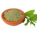 BERG E AROOSA POWDER|100:GRAM|BANSA POWDER - MALABAR NUT- VASA - ADUSA - ADHATODA VASICA. 