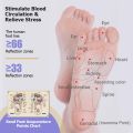 Face Value Foot Roller Massager with Magnetic Beads – Acupressure Therapy for Heel, Arch & Muscle Relief – Non-Electric Deep Tissue Foot Massager for Men & Women. 