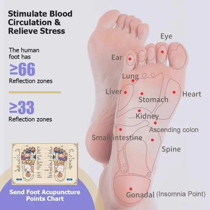 Face%20Value%20Foot%20Roller%20Massager%20with%20Magnetic%20Beads%20%E2%80%93%20Acupressure%20Therapy%20for%20Heel,%20Arch%20&%20Muscle%20Relief%20%E2%80%93%20Non-Electric%20Deep%20Tissue%20Foot%20Massager%20for%20Men%20&%20Women%20-%20Image%206