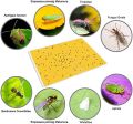 Insect Board Catcher Sticky Board Yellow Sticky Fly Traps,yellow Sticky Traps Mosquito Glue Board Sticky Fly Paper For Indoor And Outdoor Plant Protection Pest Control. 