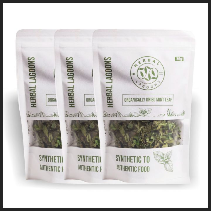 Dehydrated Dry mint leaves 100% Natural and Organic Pudina Leaves Powder |  Chemical Free Mint Leaves Powder 20 g Pack of 3