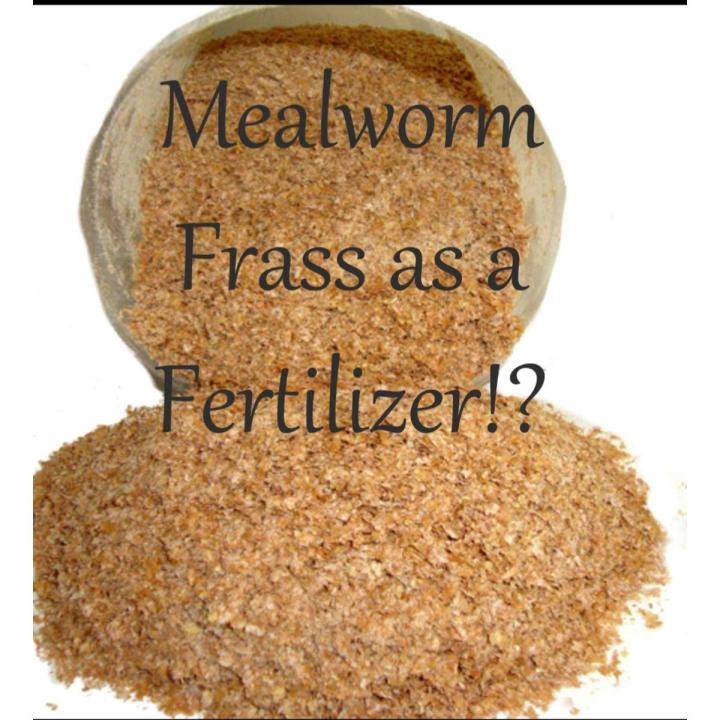 mealworm%20frass%20fertilizer%20(1%20kg)%20-%20Image%202