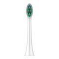 4pcslot Replacement Toothbrush Heads For nbhbj HX6014-P DiamondClean HydroClean BlackElectric Tooth Brush Heads. 