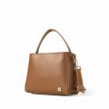 Astore  Eensy bag (brown) Bags For Women and Girls. 