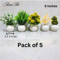 Pack of 3, 5 Artificial Small Plants - 6 Inches High Quality Table Top Decor in White Pots. 