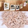 Photo Wooden Small Clip Pack of 50 Clips (1 Inch Clip Size). 