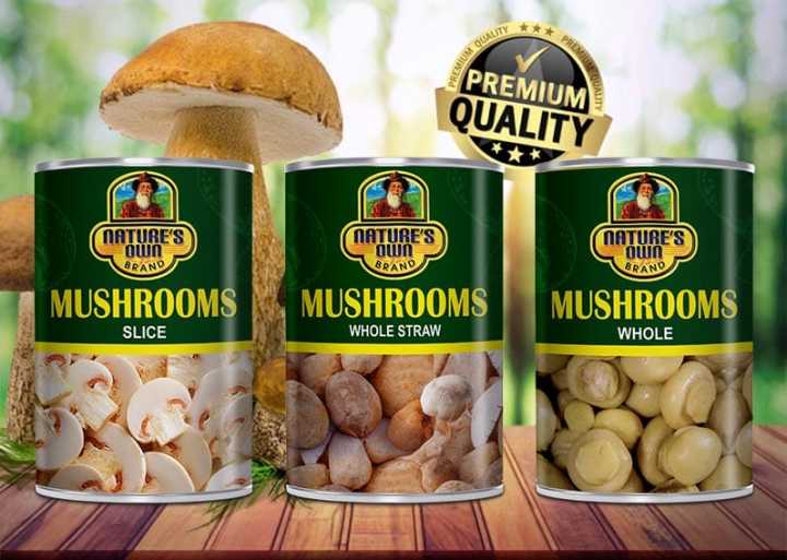 Nature%E2%80%99s%20Own%20Brand%20Canned%20Whole%20Mushroom%20400%20g%20Tin%20-%20Image%209