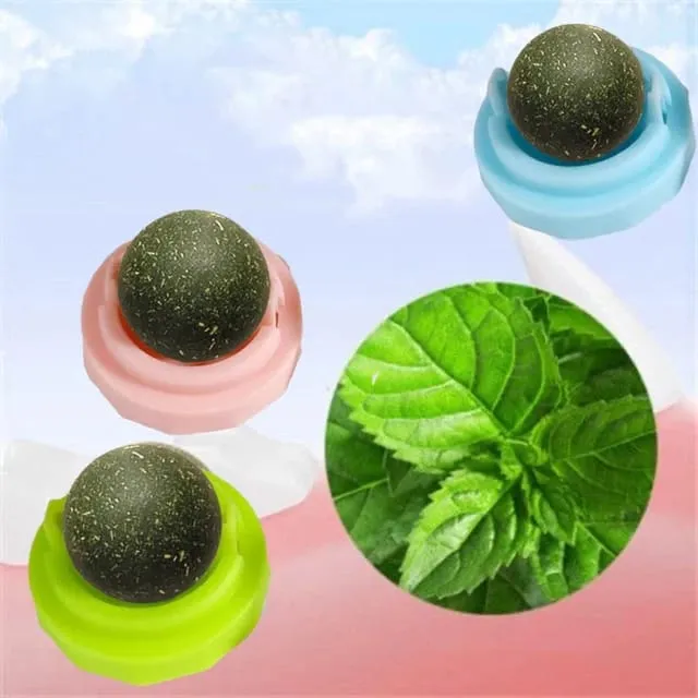 "Healthy%204-Flavour%20Cat%20Licking%20Balls%20%E2%80%93%20Catnip,%20Silvervine,%20Gall%20Fruit%20&%20Cat%20Sugar%20%E2%80%93%20Wall-Mounted%20Cat%20Treat%20Toys%20with%20Dust%20Cover%20%E2%80%93%20Interactive%20Cat%20Snacks%20&%20Chews"%20-%20Image%203