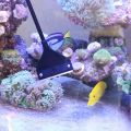 Aquarium Algae Scraper Fish Tank Cleaner Maintenance Glass Cleaner Scraper with Extension Rod and 10 Blades. 