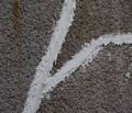 Crack FILLER FOR Cracks on Wall, Filling Paste PIGEON Flex Putty (Crack filler) Polymerized Sealant Paste (800grams). 