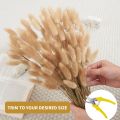 100pcs Natural Black Bunny Tails Dried Flowers Farmhouse Flower Arrangements,Lagurus Ovatus,Pampas Grass Decor for Wedding Craft. 