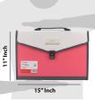 TRANBO Plastic Expanding Bag File Folder with 13 Section Pockets, FC Size, Pink. 