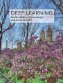 Deep Learning (Adaptive Computation and Machine Learning series) by Ian Goodfellow (Author), Yoshua Bengio (Author), Aaron Courville (Author). 