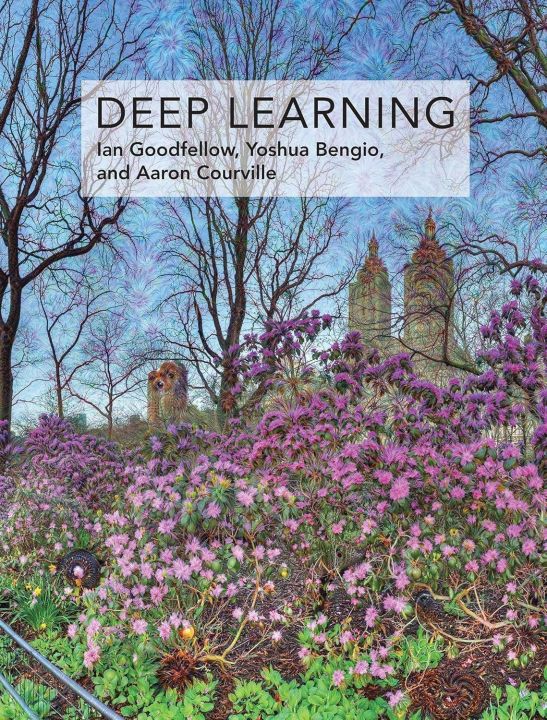 Deep%20Learning%20(Adaptive%20Computation%20and%20Machine%20Learning%20series)%20by%20Ian%20Goodfellow%20(Author),%20Yoshua%20Bengio%20(Author),%20Aaron%20Courville%20(Author)%20-%20Image%203