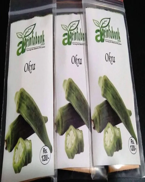 Okra%20(Lady%20FInger)%20F-1%20Seeds%20for%20Kitchen%20gardening%20-%20Image%204