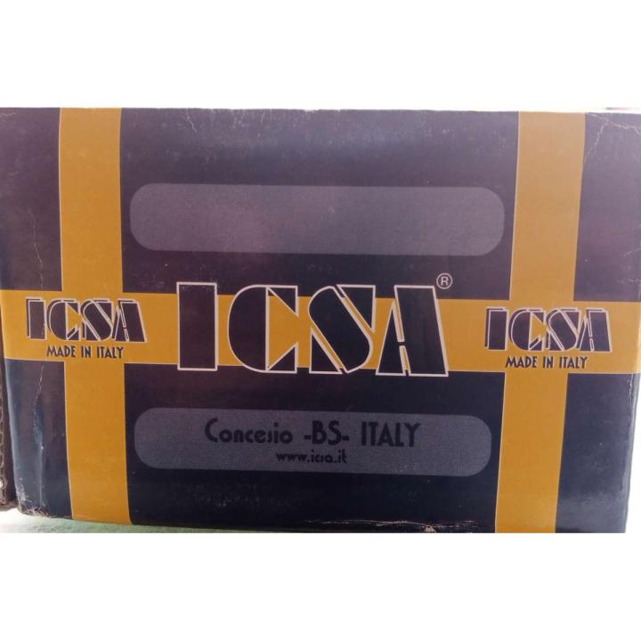 ICSA DOOR GATE ELECTRIC LOCK