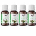 Eucalyptus Essential Oil - Pure & Natural – Undiluted Bundle Pack of 4. 