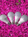 LED bulb,12watt, 220VAC,.Brand new.4 PCs. 2 pcs E27 choori 2pcs E22 pin,2024 fresh manufactured, best quality and longer life bright white light. 