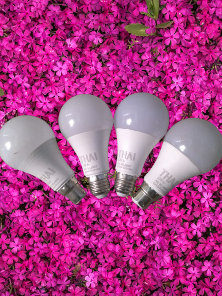 LED%20bulb,12watt,%20220VAC,.Brand%20new.4%20PCs.%202%20pcs%20E27%20choori%202pcs%20E22%20pin,2024%20fresh%20manufactured,%20best%20quality%20and%20longer%20life%20bright%20white%20light%20-%20Image%204