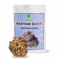 Maryam Booti | 100% Original Nabi Booti | Premium Quality Madina Leaves Booti. 