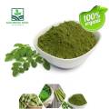 Moringa powder pills Oleifera Leaf Powder for Weight loss 90 Capsules - Morigana powder Authentic Rich. 