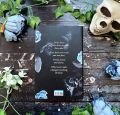 Kingdom of the Cursed :Kerri Maniscalco (Author) Hardcover Online Bazaar 777. 