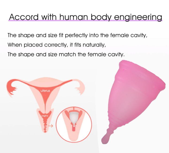 Menstrual%20Cup%20Pink%20Color%20Large%20&%20Small%20Deepsea%20Life%20Sciences%20-%20Image%204
