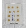 1 pack White Daisy Flowers - Dried Pressed flowers for Resin Art. 