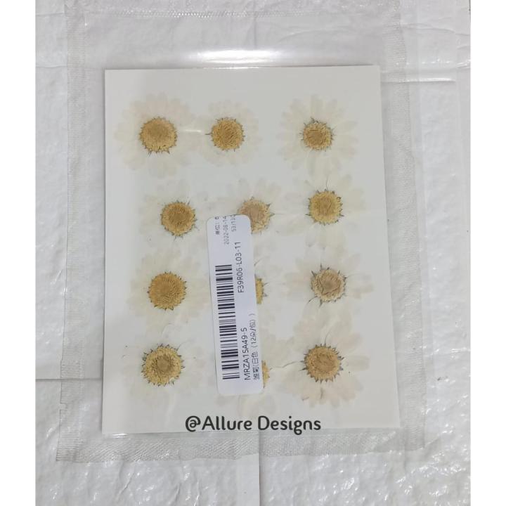 1 pack White Daisy Flowers - Dried Pressed flowers for Resin Art