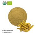 Turmeric Curcumin with BioPerine Powder,Turmeric Root and Black Pepper Extract20:1. 