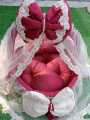 Baby Dream Cradle Bassinet with Fancy Net Cover and Handle for NewBorns | Baby Carrier Basket | Custom Colors. 
