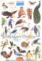 Sticker for Kids/ Sticker sheet 8 Pcs/ Urdu Sticker Pack / Animals, Birds, Fruits, Vegetables Stickers / Stickers for DIY Flashcards. 