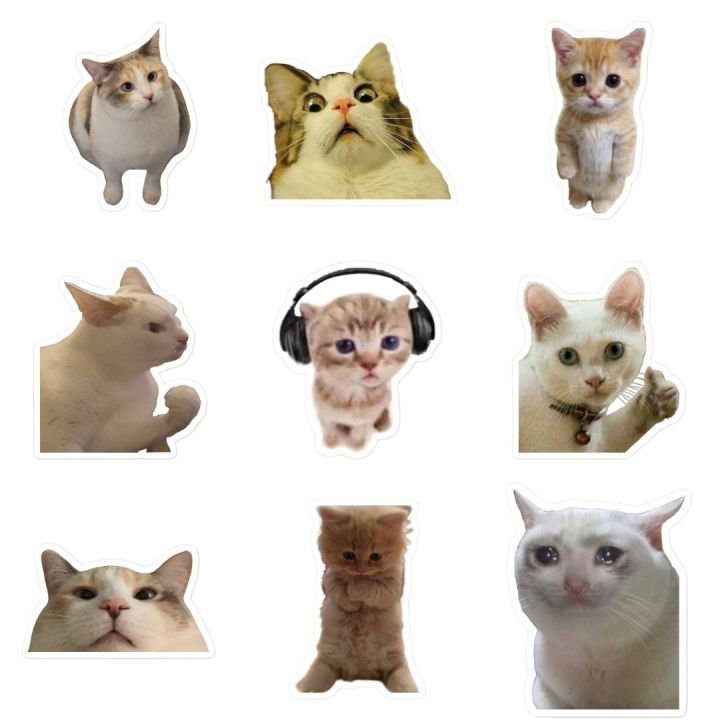 25pcs CAT MEMES sticker pack funny cute cat kitten kitty aesthetic ...