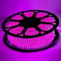 35 Metre LED Rope Light Bundle – Flexible, Waterproof, and Energy-Efficient Decorative Lighting for Indoor & Outdoor Use. 
