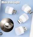 Portable Mini USB LED Night Light Bulb - White & Warm Light for Night Studying, Camping - Compatible with Laptop, Power Bank, and All USB Ports. 