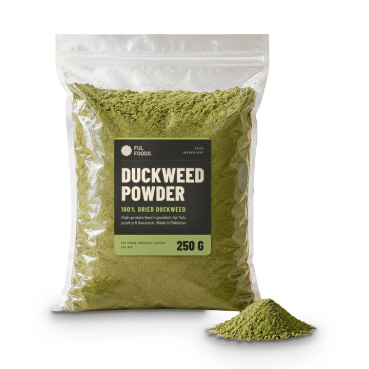 Duckweed%20Powder%20%E2%80%93%20100%25%20Dried%20Duckweed%20%7C%20~31%25%20Protein%20%7C%20250g%20/%20500g%20/%201kg%20%7C%20Feed%20Ingredient%20for%20Fish,%20Poultry%20&%20Livestock%20%7C%20FUL%20Foods%20-%20Image%205